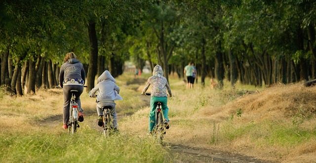 Préparer une escapade à vélo en famille : l’essentiel à retenir