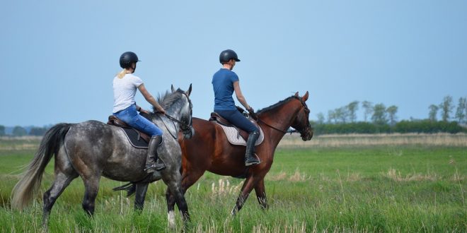 Les bienfaits de l’équitation sur la santé : Un guide détaillé