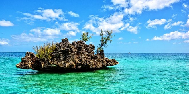 Où passer vos vacances en famille à Maurice ?