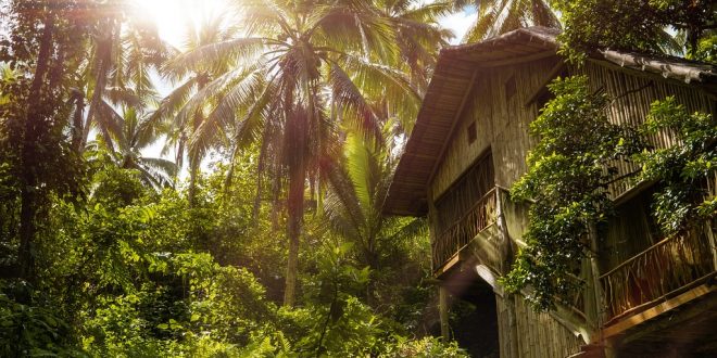 Aventure en famille : offrez à vos enfants des souvenirs inoubliables en séjournant dans une cabane dans les arbres