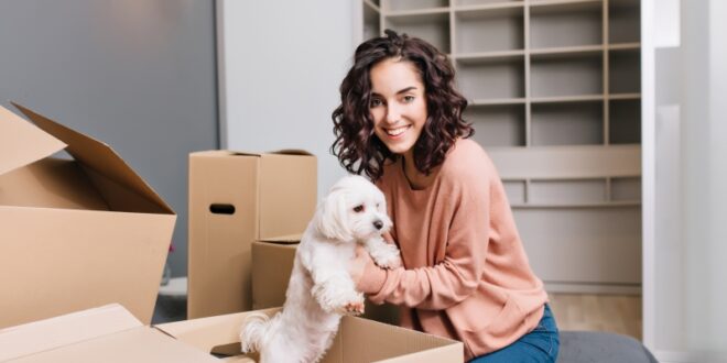 Comment gérer le transport de vos animaux lors d’un déménagement international ?